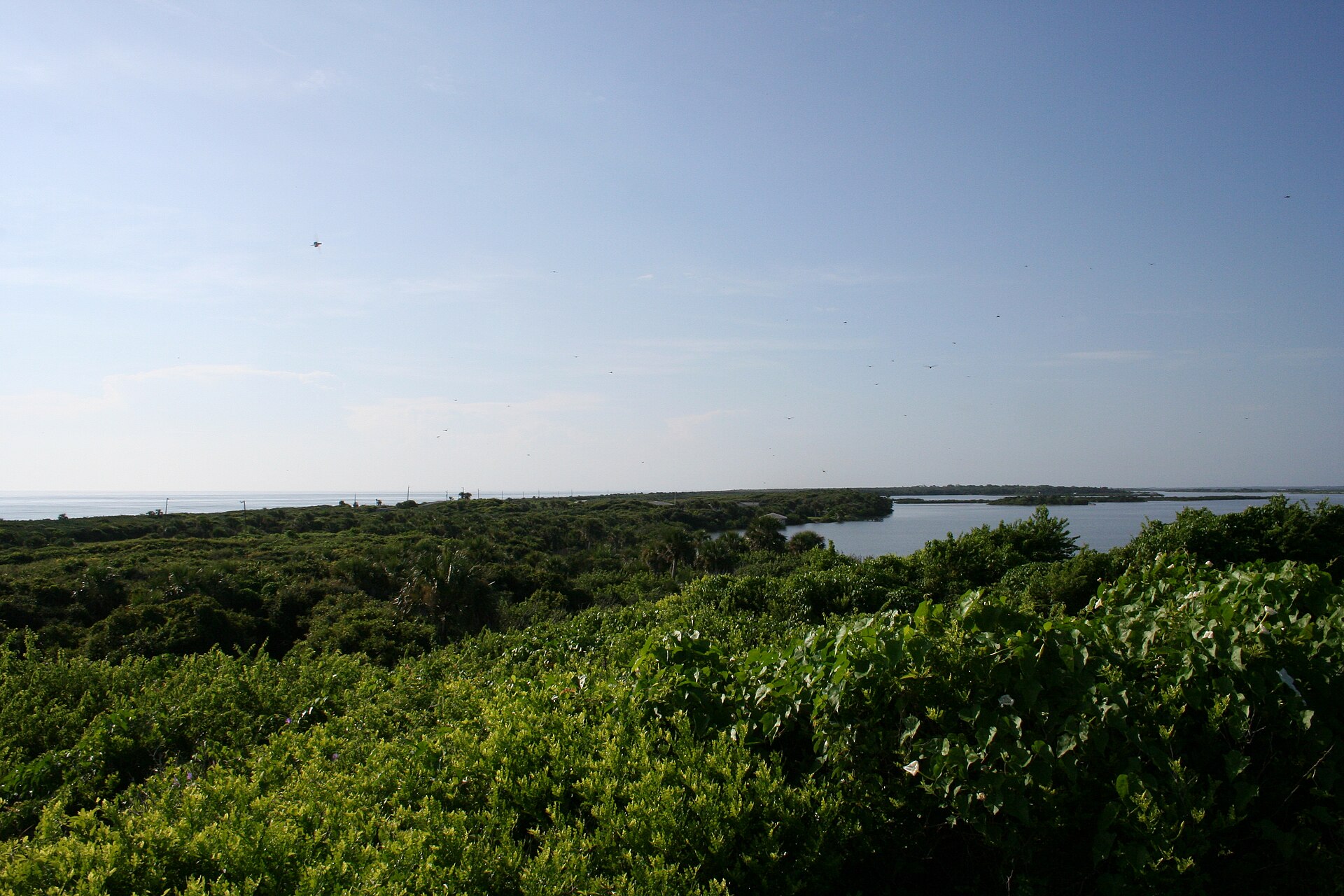 View of Apollo Beach from atop Turtle Mound, looking out over the Indian River system.