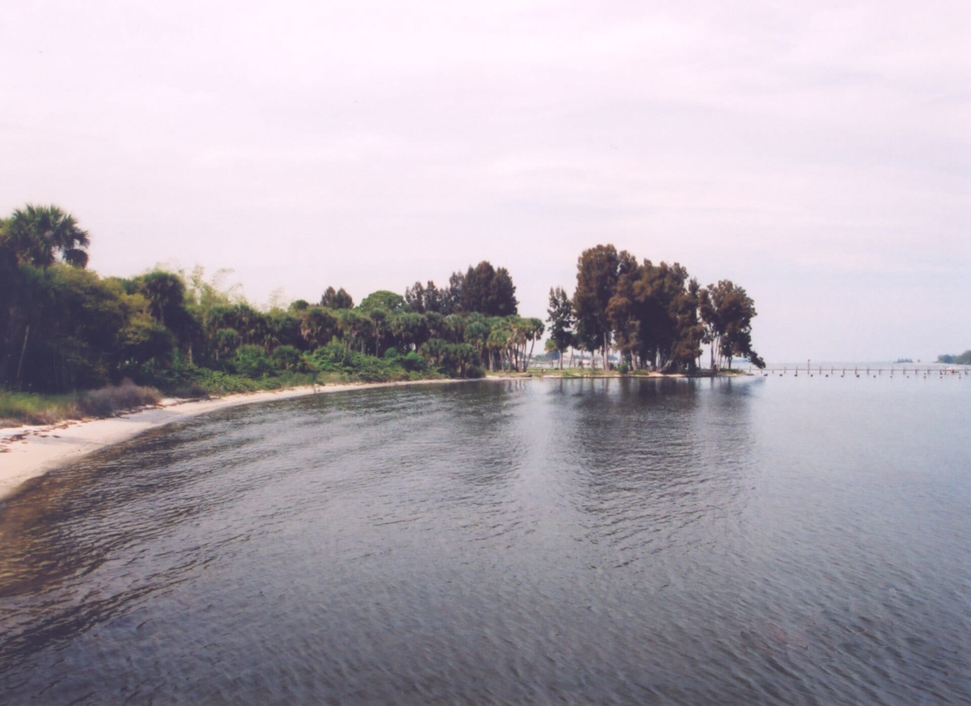 The Indian River Lagoon shore in Brevard County, Florida.