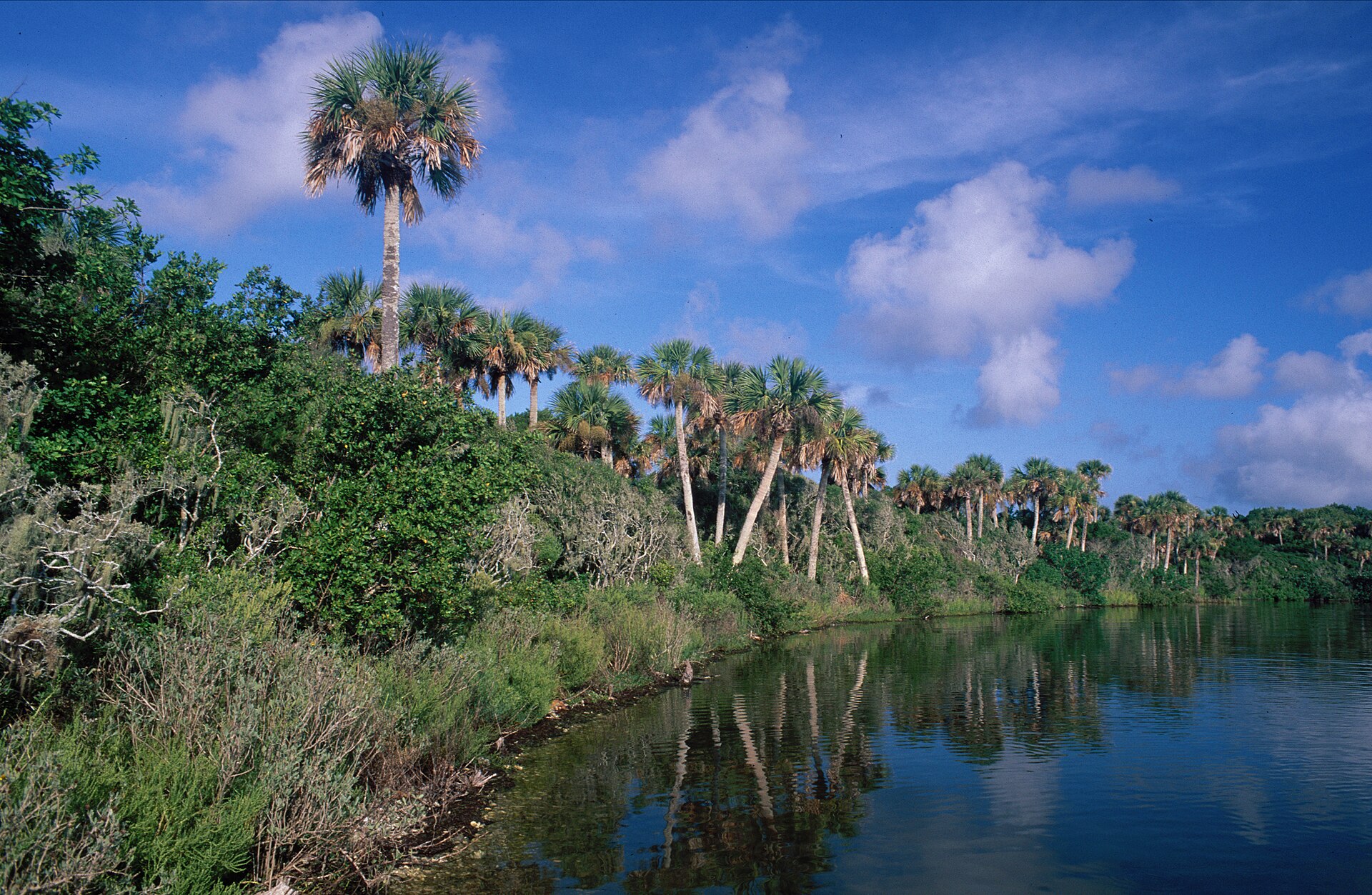 Mosquito Lagoon at Canaveral National Seashore.